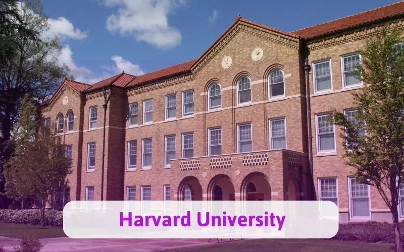 Top 5 trường đại học hot nhất tại nước mỹ