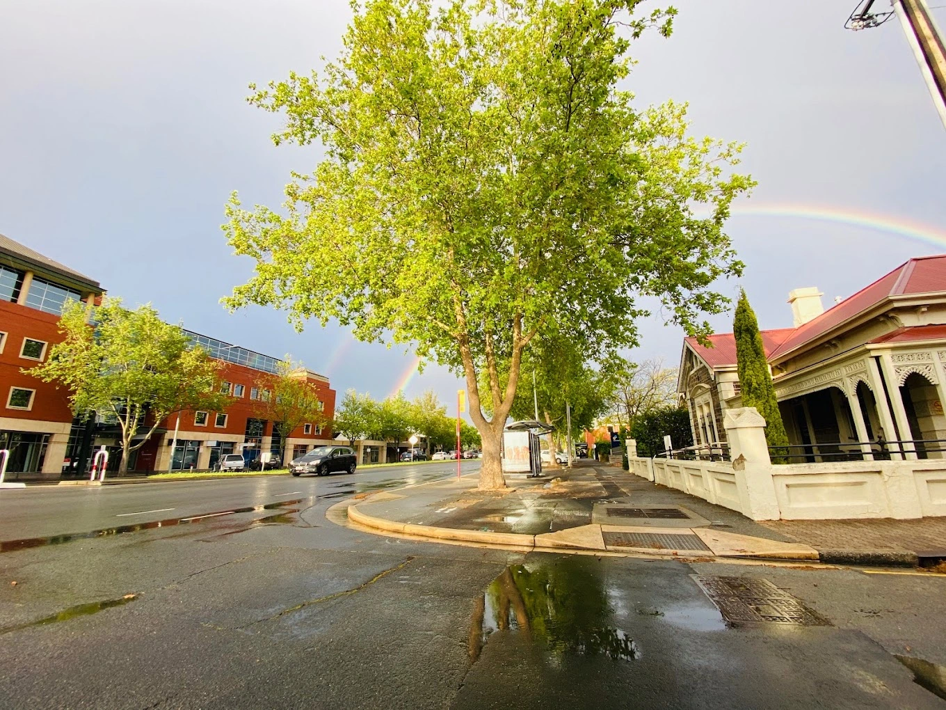 Christian Brothers’ College