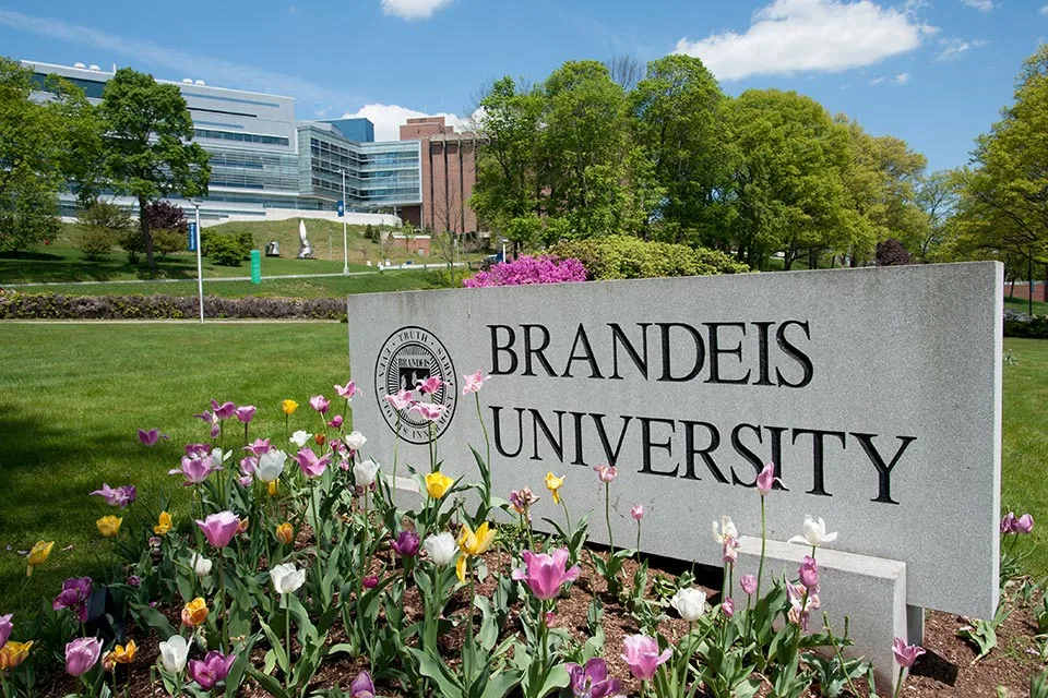 Brandeis University 