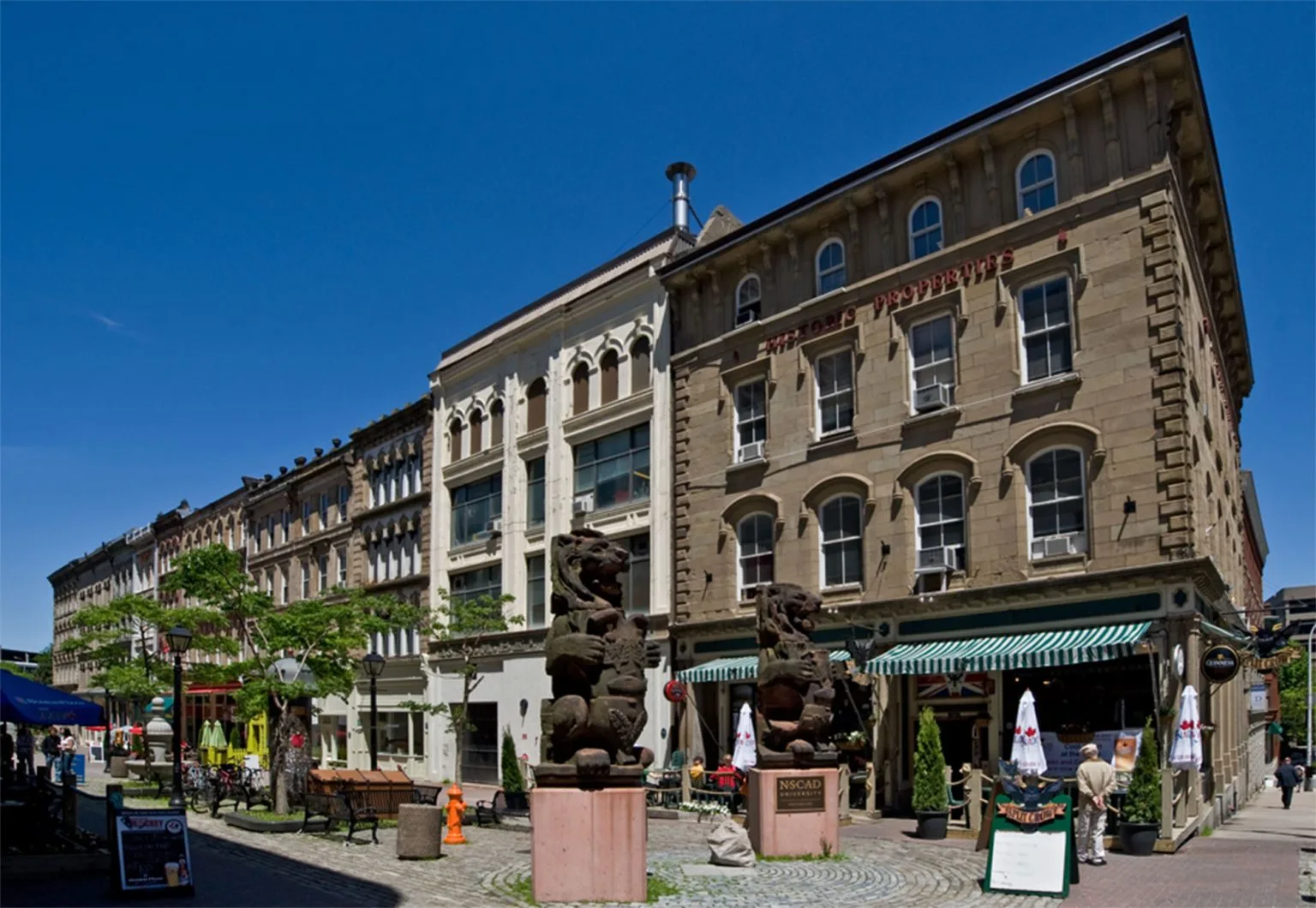 Nova Scotia College of Arts and Design University (NSCAD University)