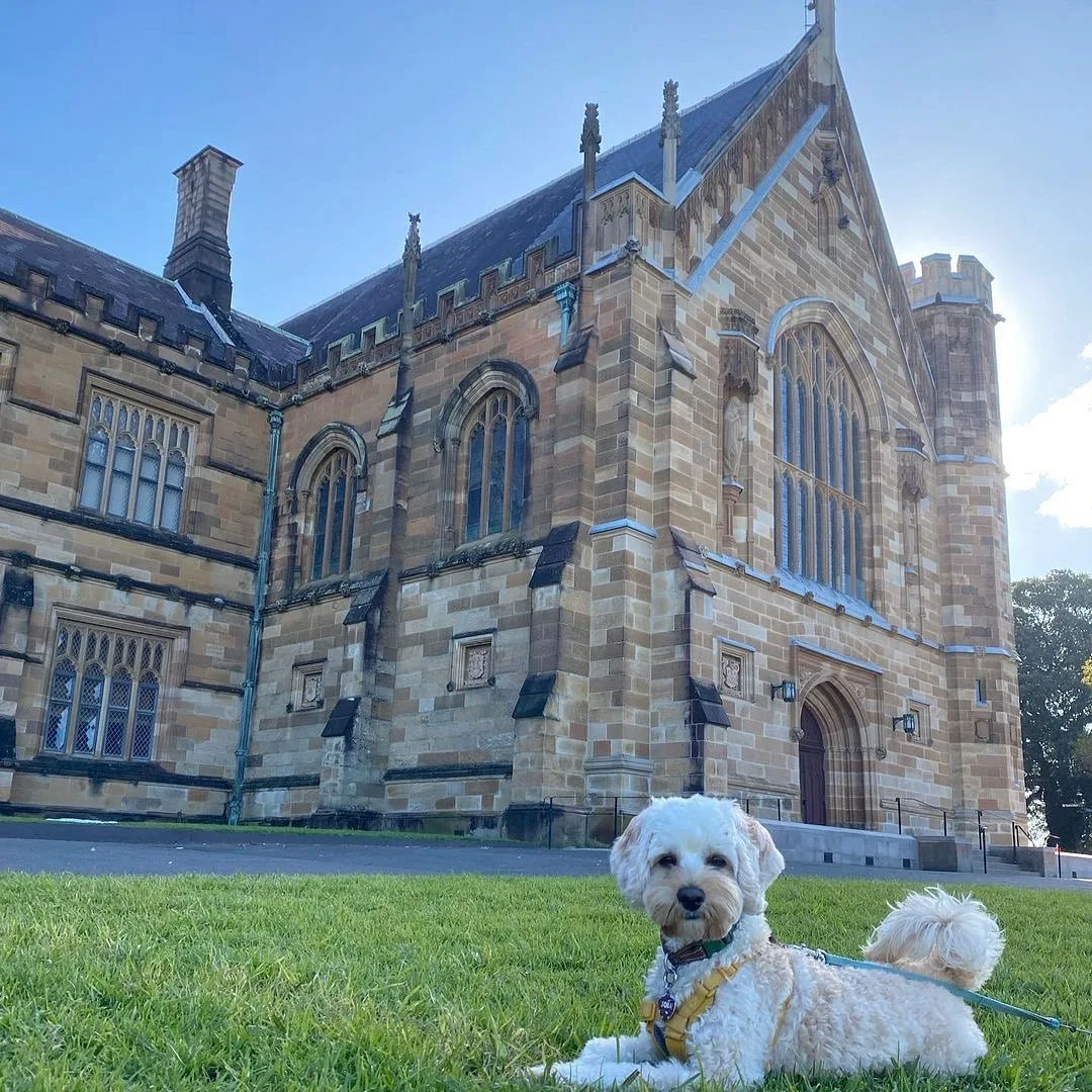 The University of Sydney