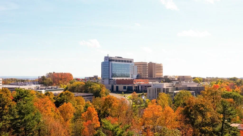 University of Connecticut